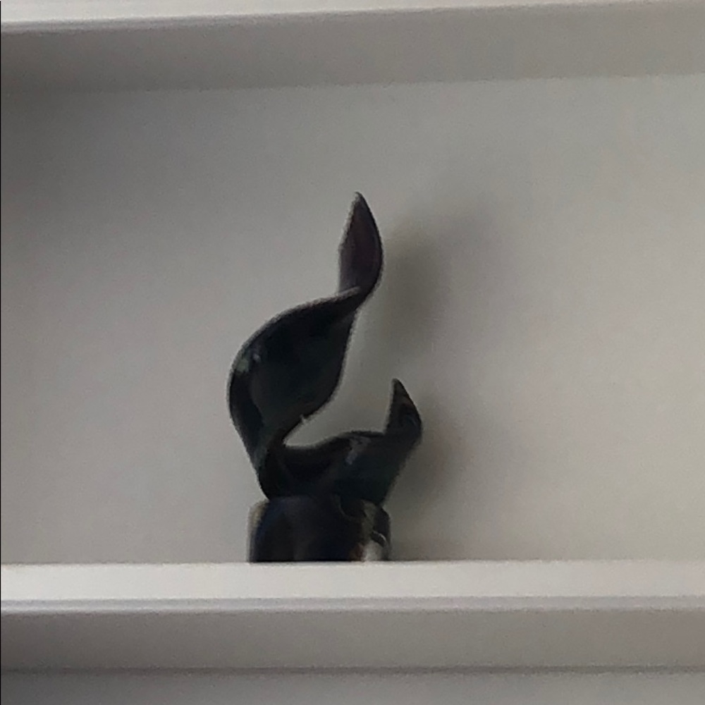 Meet your Posher, Prathima